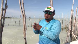 Jamayel Verde