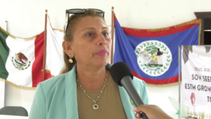 Arleen Pelayo